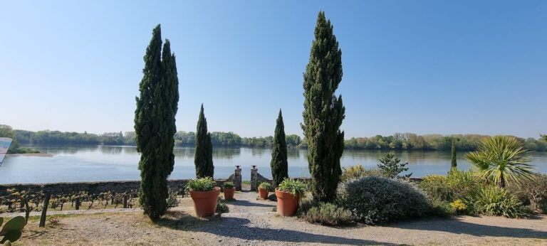 Le jardin Méditerranéen à Port Thibault