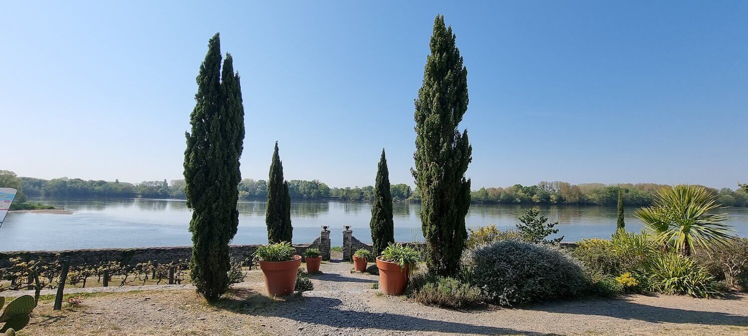 Le jardin Méditerranéen à Port Thibault