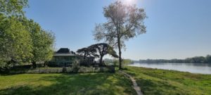 Le jardin Méditerranéen à Port Thibault