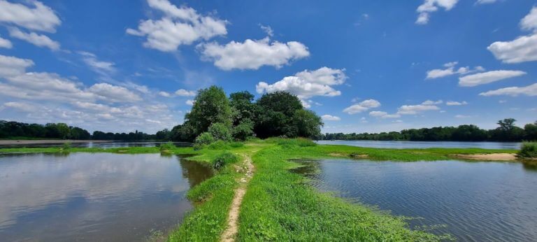 Béhuard - Ouest de l'île - Queue de l'ïle