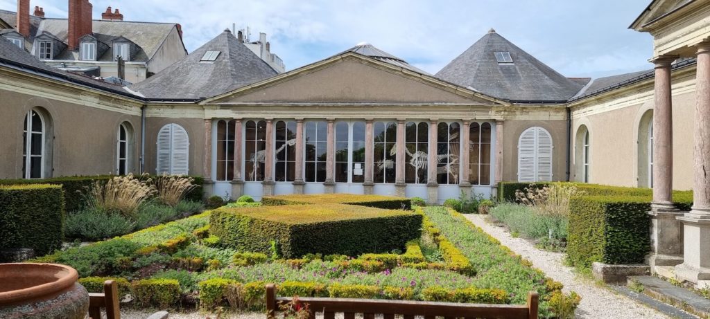 Jardin du Musée des Sciences Naturelles d'Angers